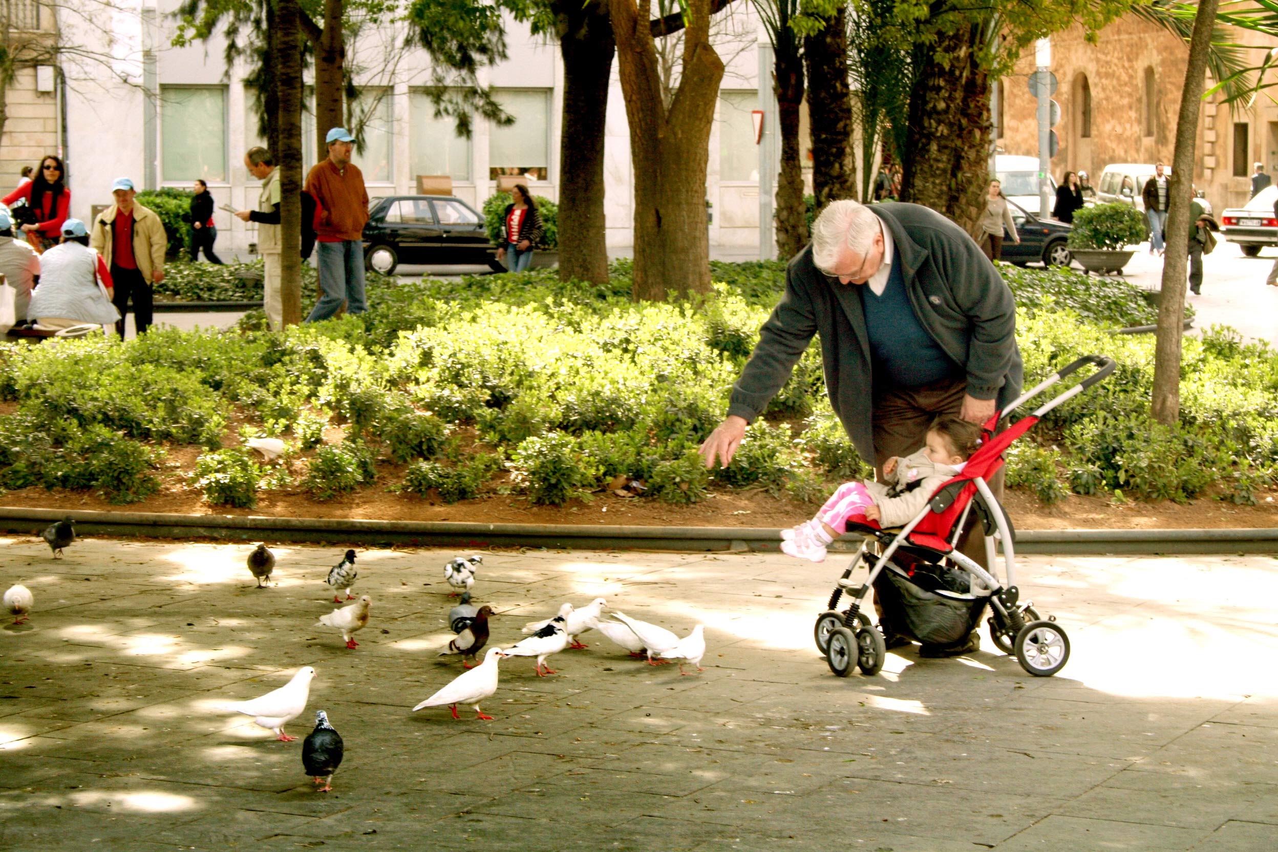 abuelo_nor